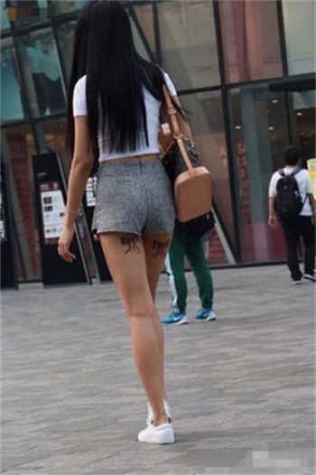 08年雁门照图片迅雷