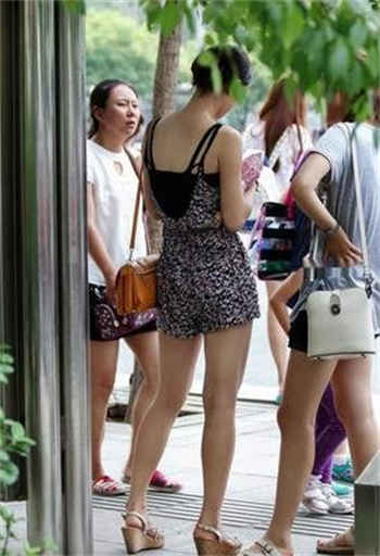 钰慧篇肥猪