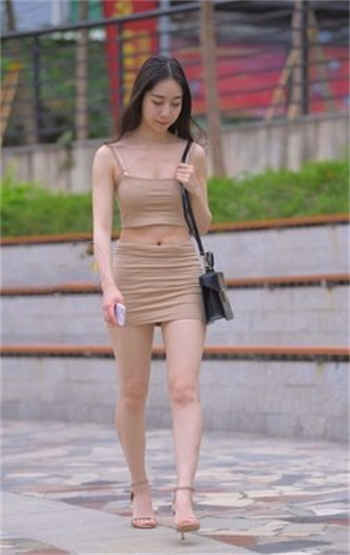 杏树宝典网页版入口