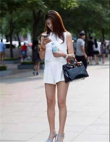 狗狗蝴蝶结聊天图片
