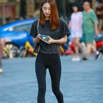 杏树宝典网页版入口