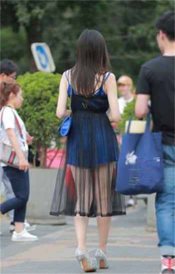 大象伊118