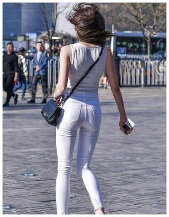 爱狗蝴蝶结群